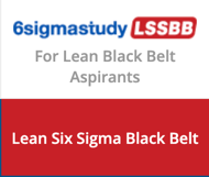 [SIXSIGMA_0018_TSI_LBB] 6SIGMA Lean Black Belt Certification Course and Exam - Online 180 Days 